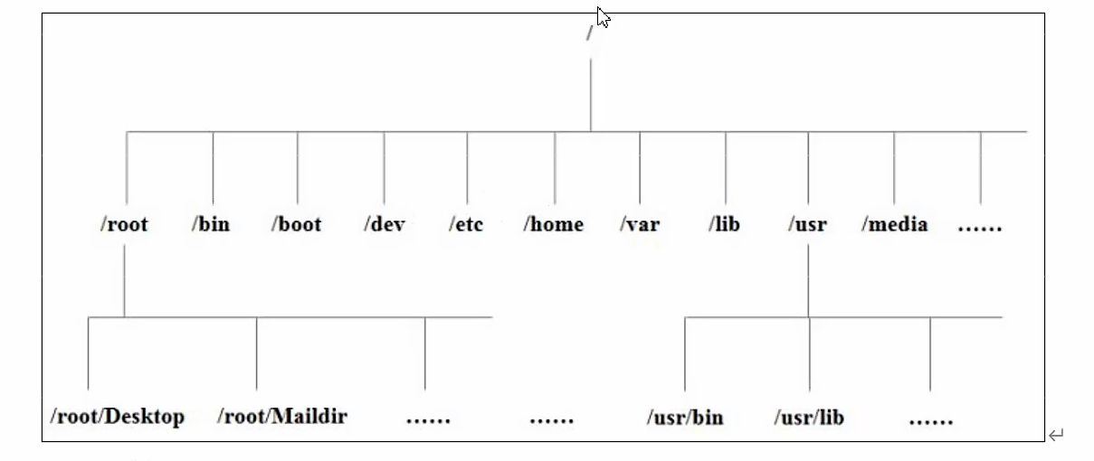 image-20220615194748817