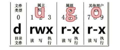 image-20220630172808090